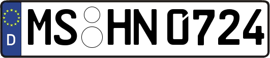 MS-HN0724