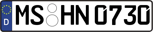 MS-HN0730