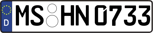 MS-HN0733