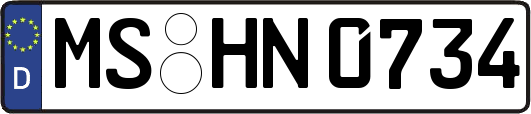 MS-HN0734
