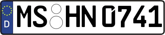 MS-HN0741
