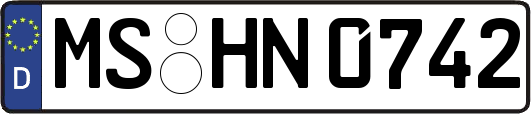 MS-HN0742