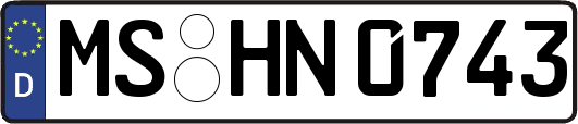 MS-HN0743