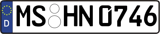 MS-HN0746