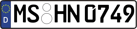 MS-HN0749