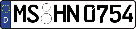 MS-HN0754