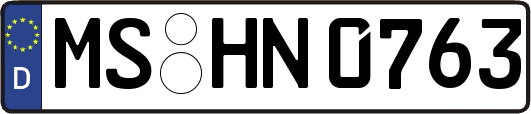 MS-HN0763