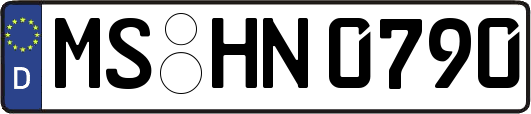 MS-HN0790