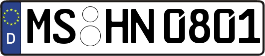 MS-HN0801
