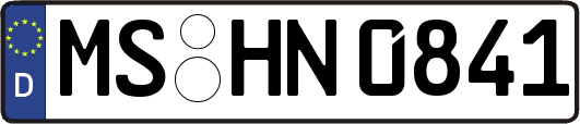 MS-HN0841