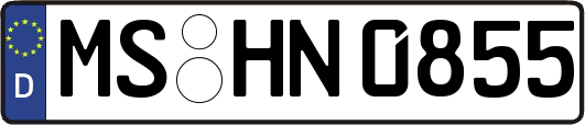 MS-HN0855