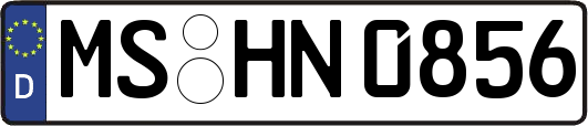 MS-HN0856