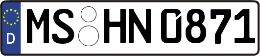 MS-HN0871