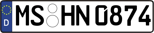 MS-HN0874