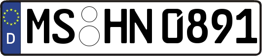 MS-HN0891