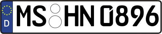 MS-HN0896