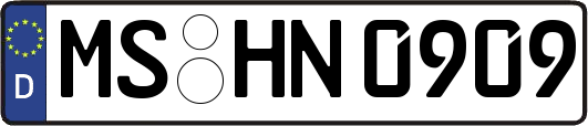 MS-HN0909