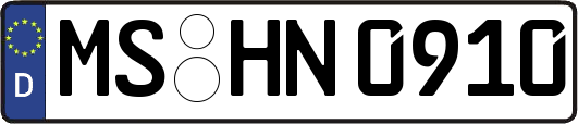 MS-HN0910