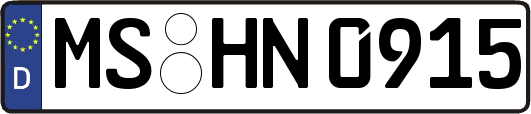 MS-HN0915