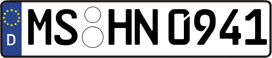 MS-HN0941