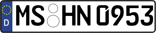 MS-HN0953