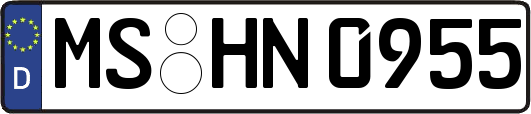MS-HN0955