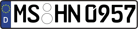 MS-HN0957
