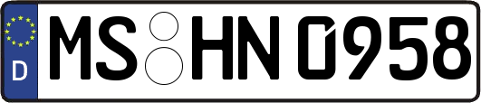 MS-HN0958
