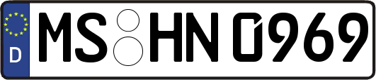 MS-HN0969