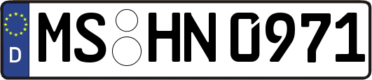 MS-HN0971