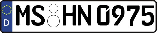 MS-HN0975
