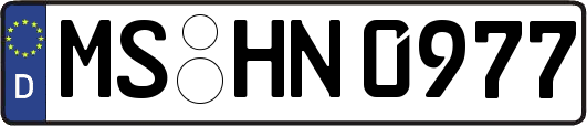 MS-HN0977