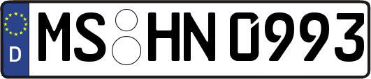 MS-HN0993