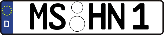 MS-HN1