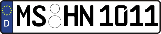 MS-HN1011