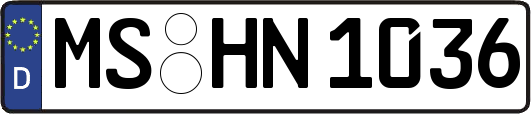 MS-HN1036