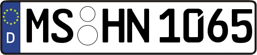 MS-HN1065