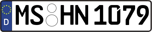 MS-HN1079