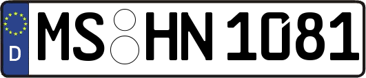MS-HN1081