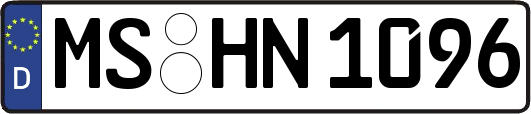 MS-HN1096