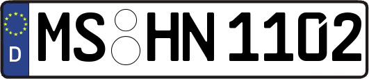MS-HN1102