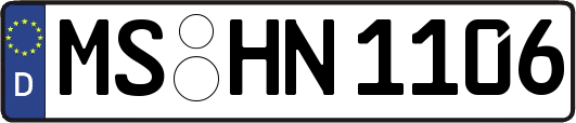 MS-HN1106