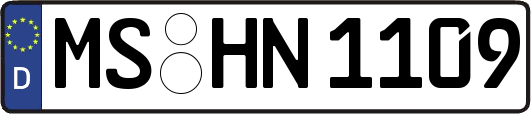 MS-HN1109