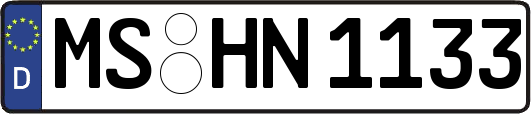 MS-HN1133