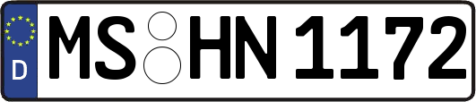 MS-HN1172
