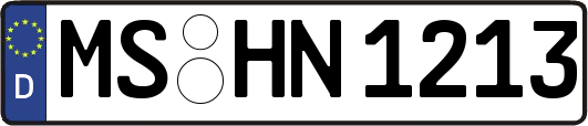 MS-HN1213
