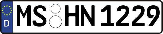 MS-HN1229