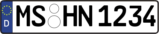 MS-HN1234
