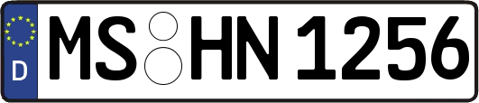 MS-HN1256