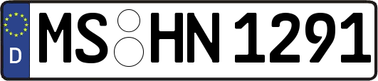 MS-HN1291